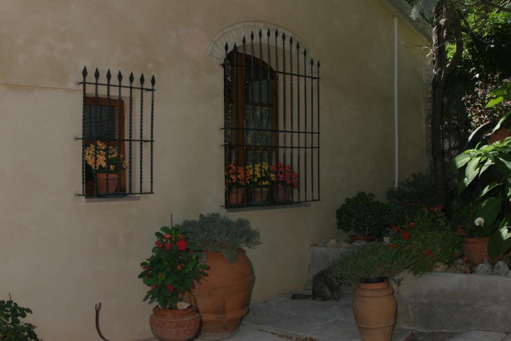 Agriturismo Il Colto San Gimignano Exteriör bild