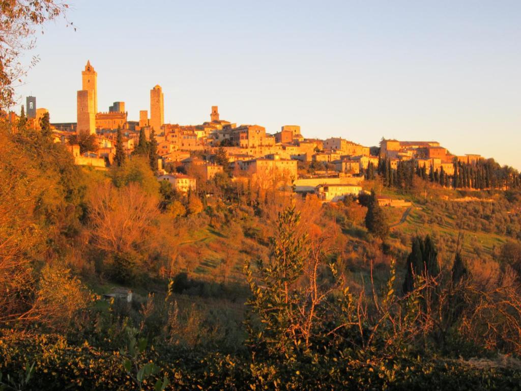 Agriturismo Il Colto San Gimignano Exteriör bild