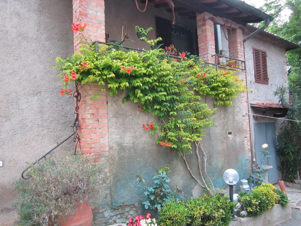 Agriturismo Il Colto San Gimignano Exteriör bild